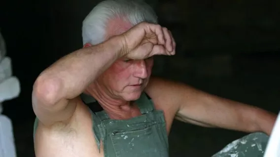 Pit Babe ※ Bibi Fox, Barry ※ Oldje 