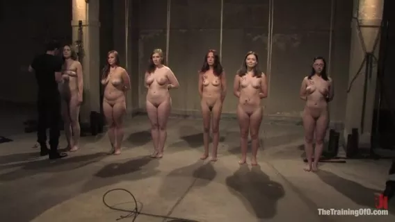 ⁣Sarah Shevon, Savannah West And Sasha Lexing In The Auditions Part One ※ Nerine Mechanique, Bella Rossi, Savannah West ※ The Training Of O 