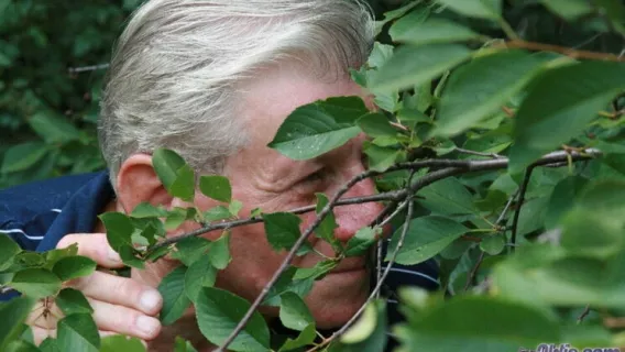 ⁣Boobarella ※ Barney, Monika ※ Oldje 