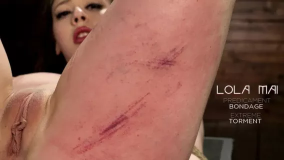 ⁣Lola Mai: Predicament Bondage And Extreme Torment ※ The Pope, Lola Mai ※ Hogtied 