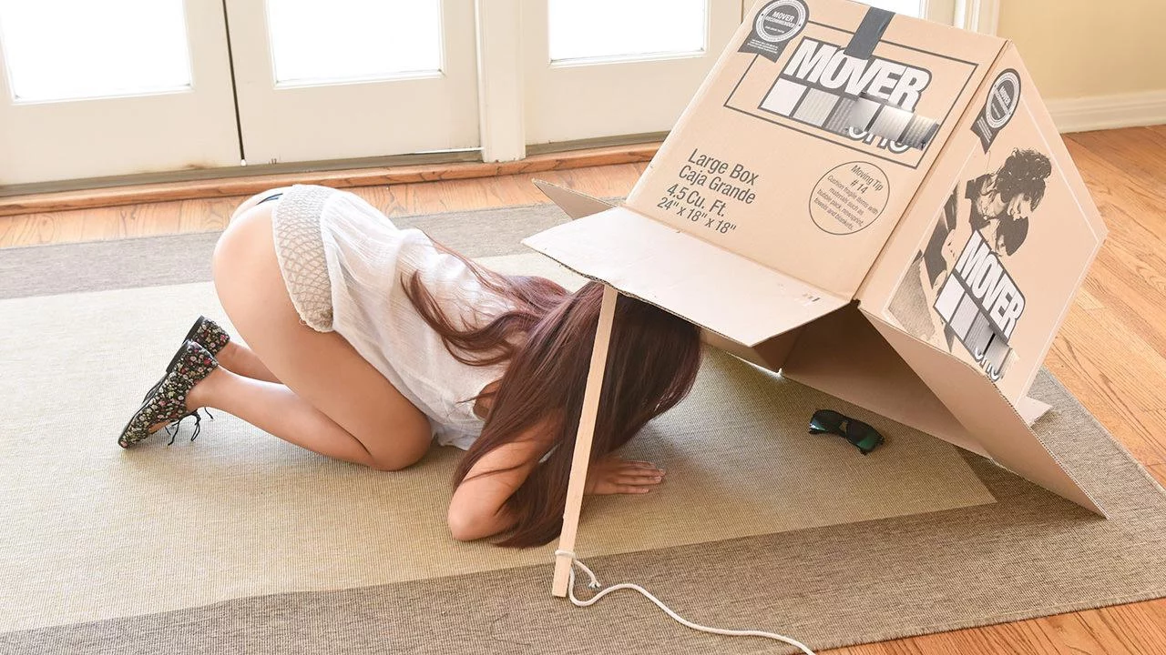 Tiny Thief Gets Trapped 