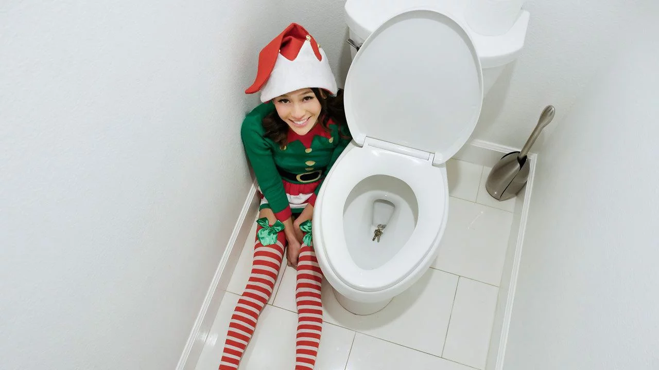 Elf On A Shelf 