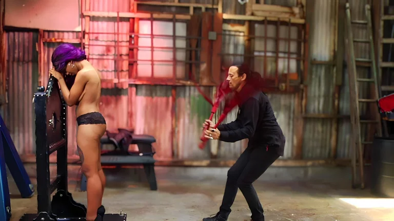 ⁣Bullwhip Playtime 