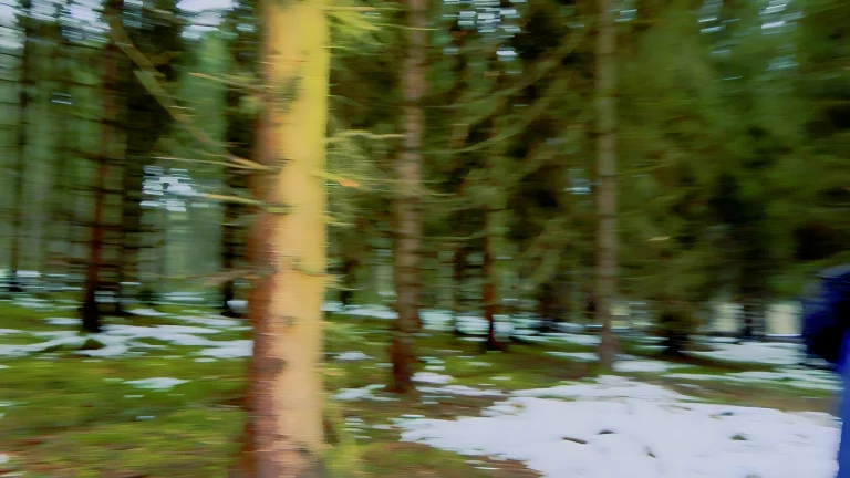 Hot Fuck In The Wood 