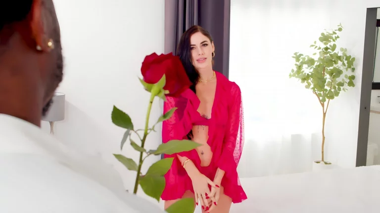 Flowers And Chocolate 